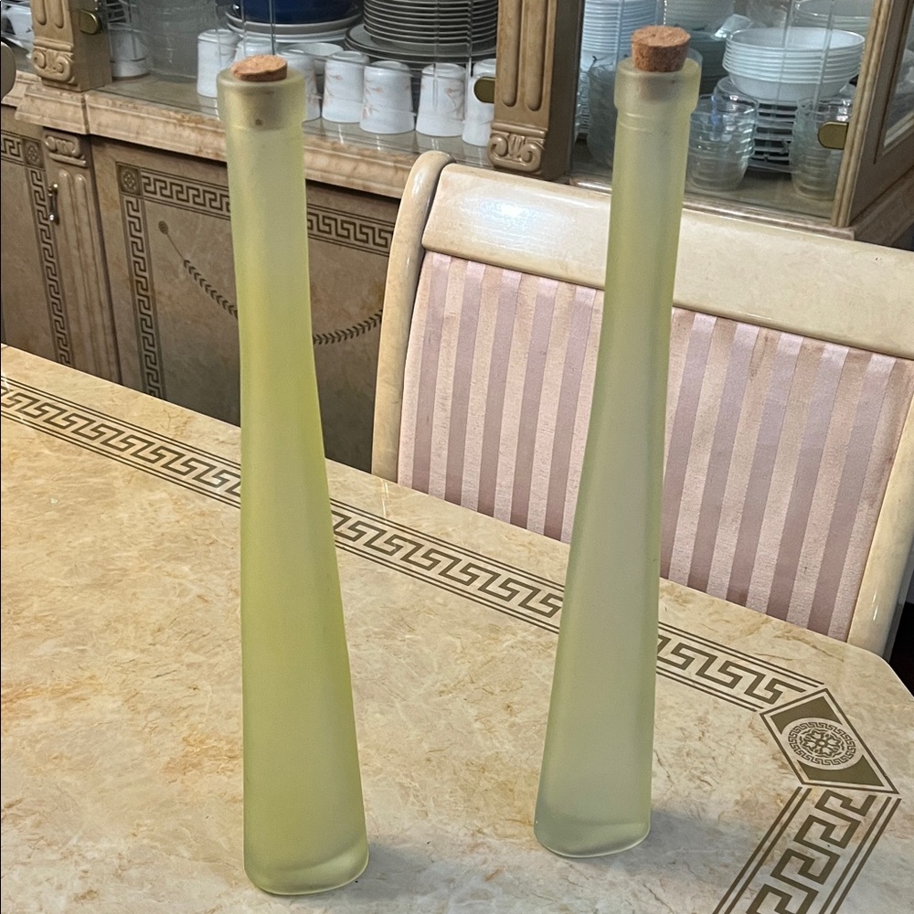 Elegant Frosted Glass Vases with Cork Stoppers
